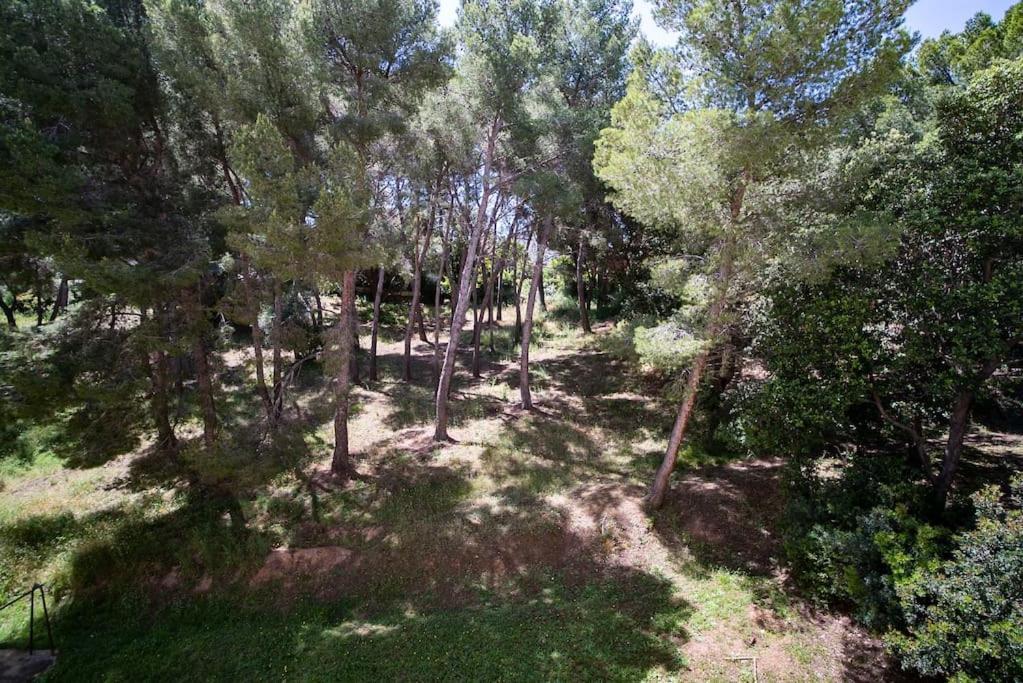 Superb T4 Souplex In Giens Appartement Hyères